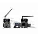 4G фотопастка KeepGuard KW896 (36Mp, 2K)