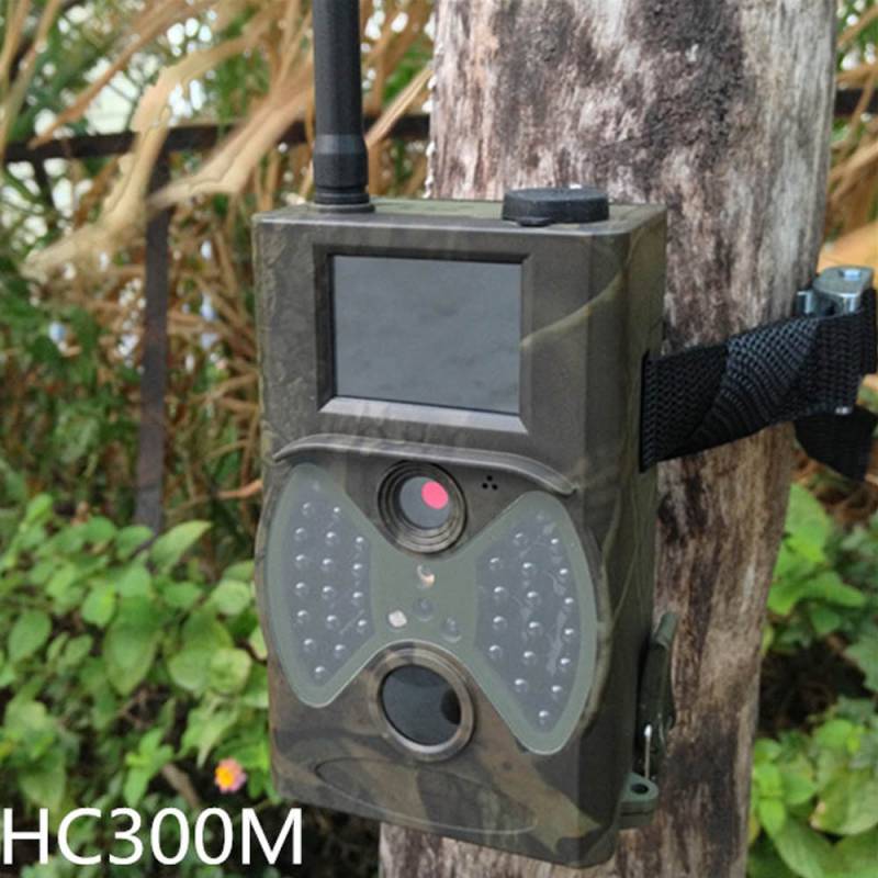 Фотоловушка купить - GSM, MMS камера для охоты