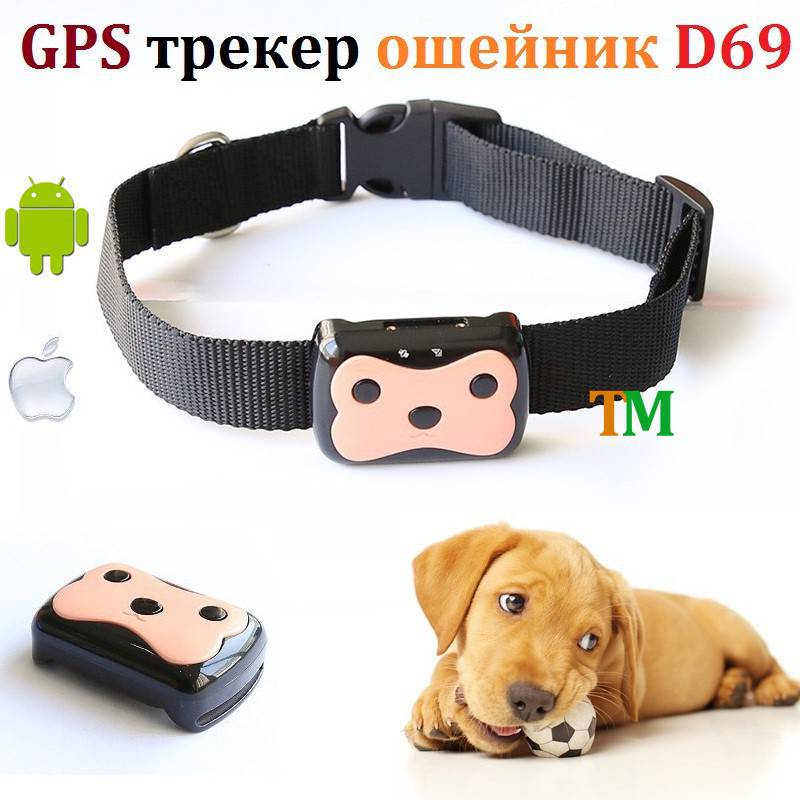 GPS трекер D69 для животных недорого в Украине в интернет магазине - TechnoMarket